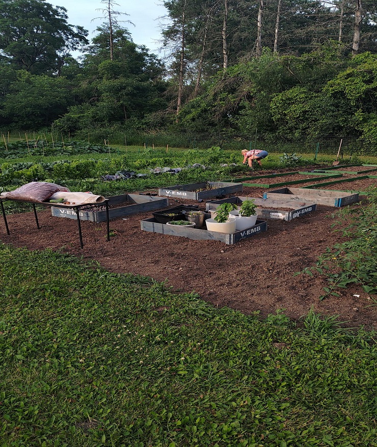 Ground Zero Veterans Outreach Garden Project at the Farm Oasis